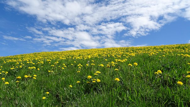 Free Bavaria Allgäu photo and picture