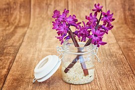 Hyacinth, Flowers, Pink, Fragrant