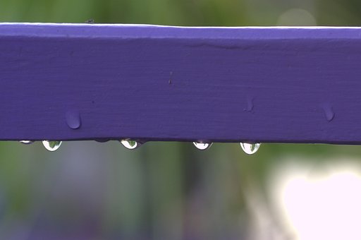 Free Drop Rain photo and picture