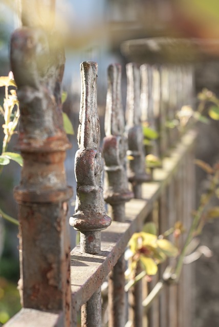 Free Fence Light photo and picture