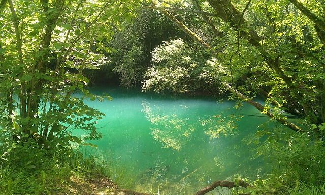 Abyss Water Nature - Free photo on Pixabay - Pixabay