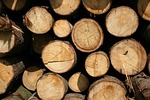 wood, strains, log