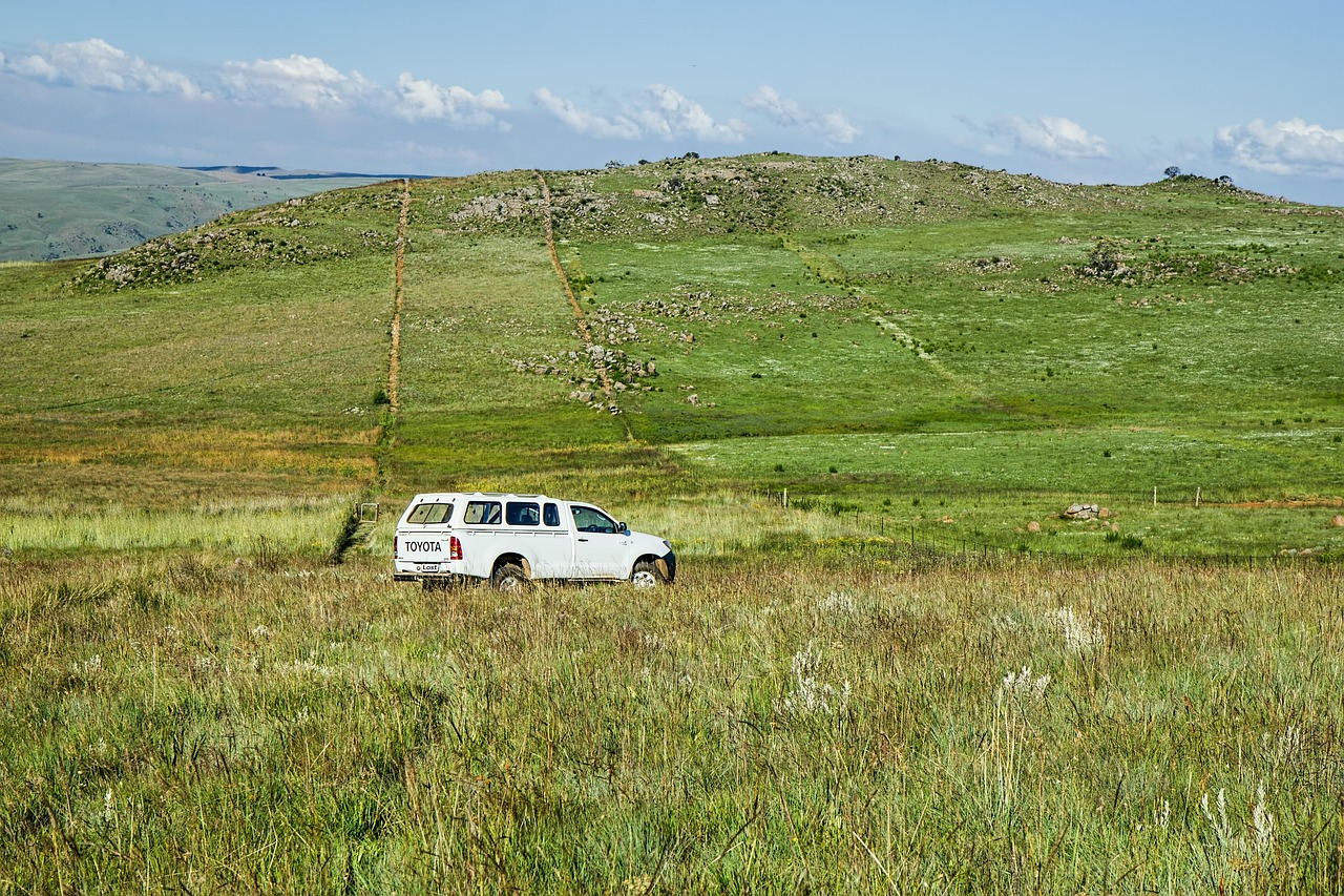 Lost - free online jigsaw puzzle photo