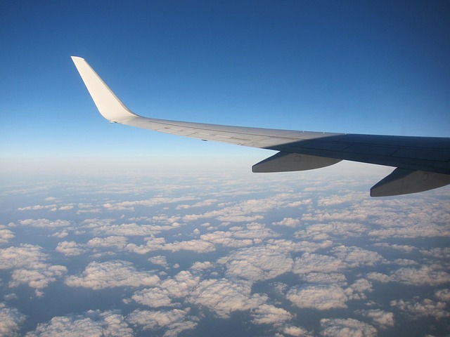 Free Airplane Wing photo and picture