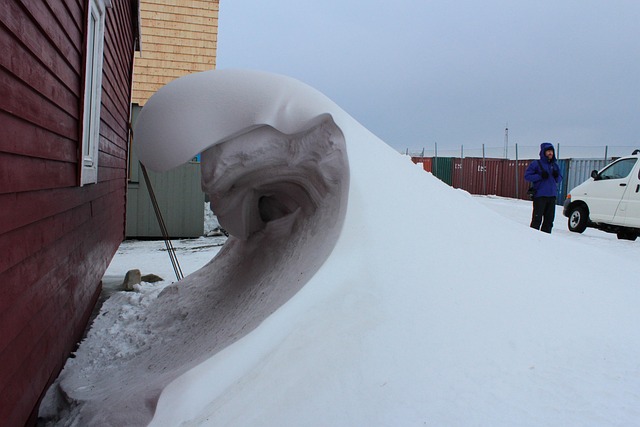 Free Snow Wind photo and picture