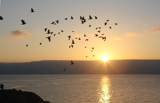 Free Galilee Israel photo and picture