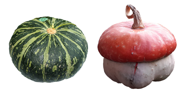 Free pumpkin a vegetable garden illustration