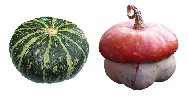 Kürbis, Natur, Gemüse, Garten