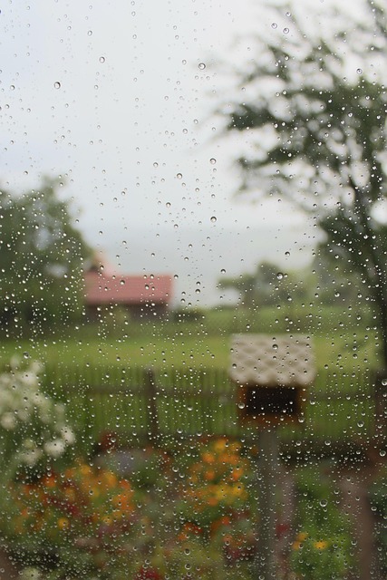 Free Garden Rain photo and picture