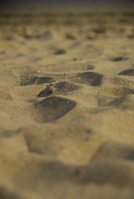 Free Ocean Sand photo and picture