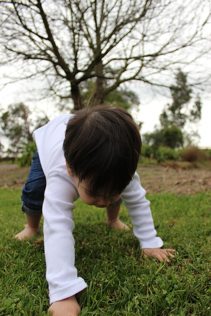 child, boy, toddle, fun, grass, nature, first steps, attempts