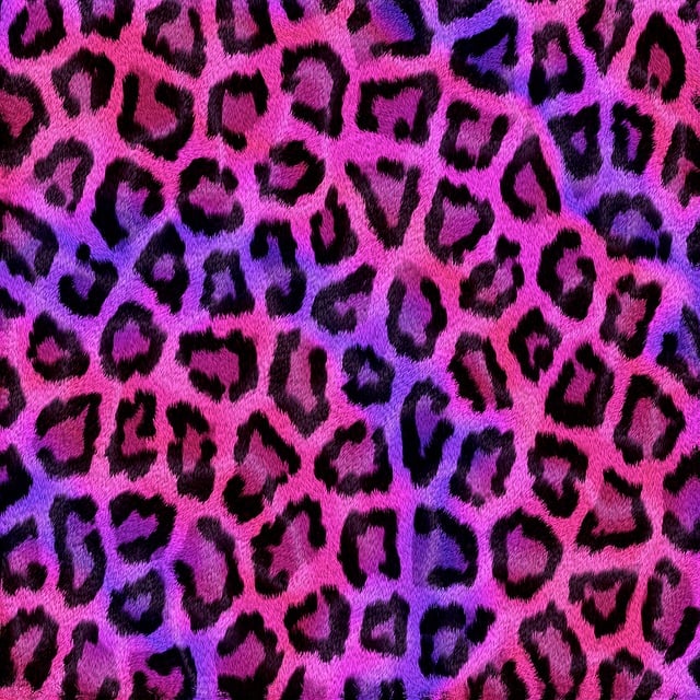 Papier, Textur, Natur, Leopard, Tier