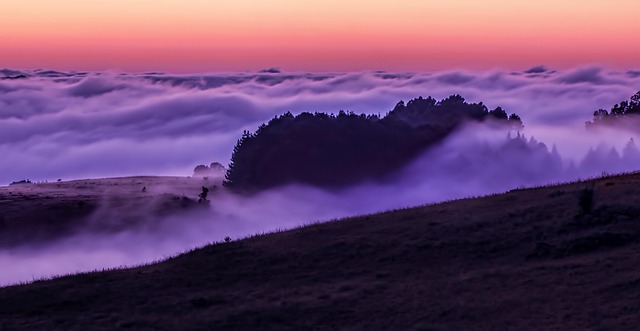 Free Cloud Mist photo and picture