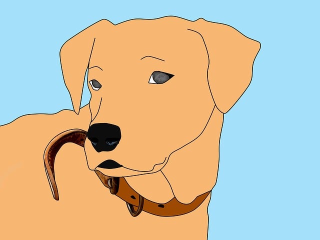 Free dog nature animal illustration