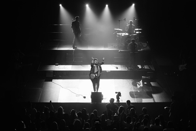 Free Concert Singer photo and picture
