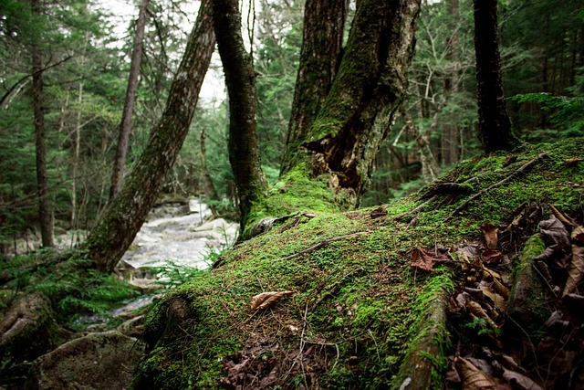 Free Hill River photo and picture
