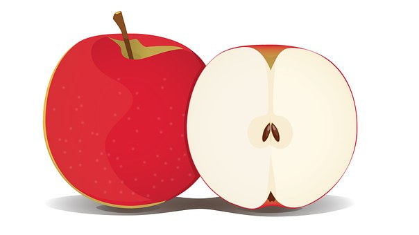 Free Apple Fruit illustration and picture