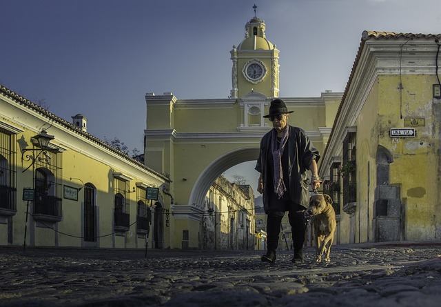 Antiguaguatemala, Guatemala, Gader, Hund