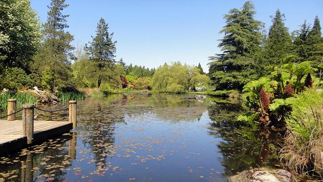 Free Lake Water photo and picture