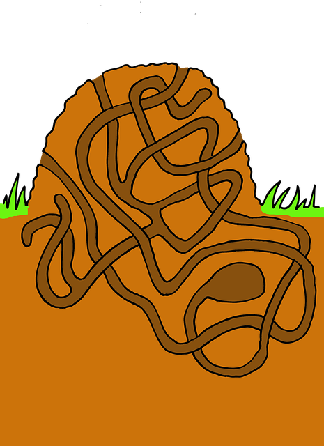 Labyrint, Myretue