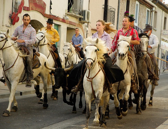Free Camargue Caretaker photo and picture