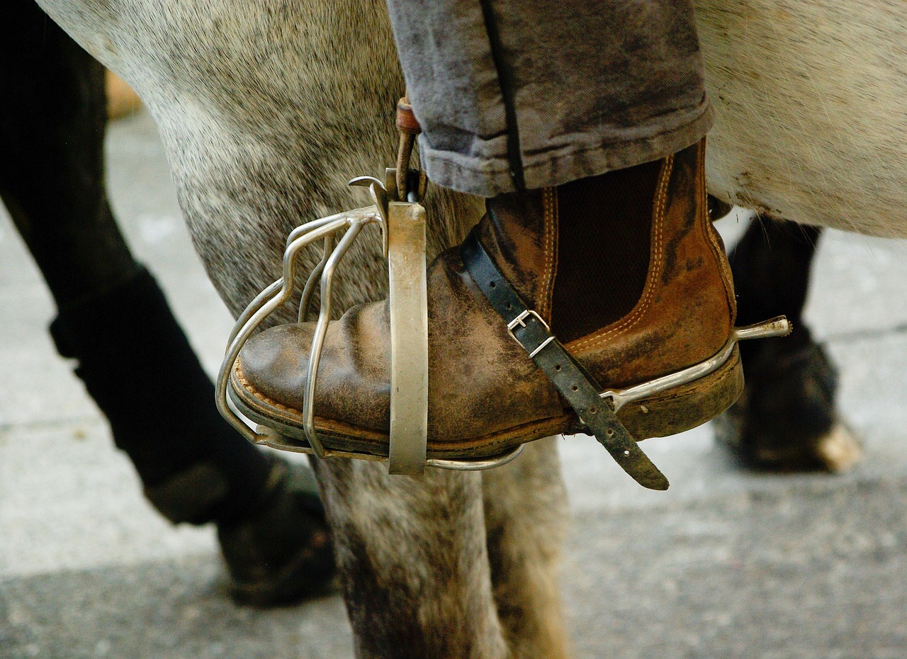 프랑스 Camargue 등자 타는 - Pixabay의 무료 사진 - Pixabay