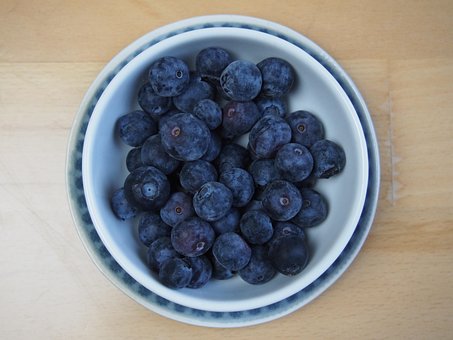 Free Blueberries Fruit photo and picture