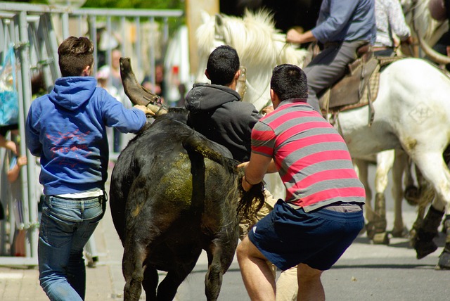 Free Camargue Village Party photo and picture