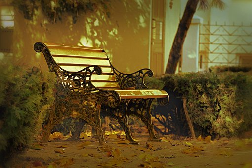 Free The Bank The Autumn photo and picture