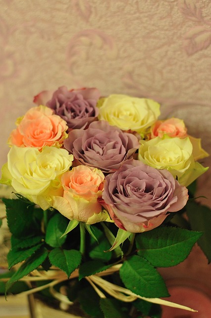 Blumen, Rosen, Rose, Blume, Die Natur