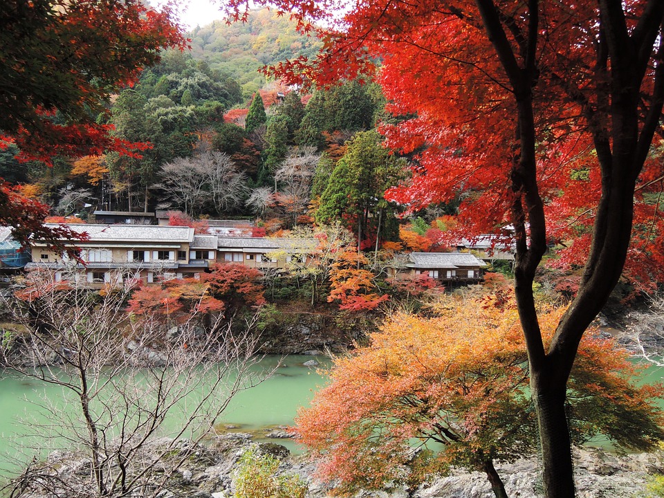 Free photos of Arashiyama