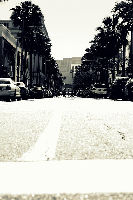 Free Street Pavement photo and picture