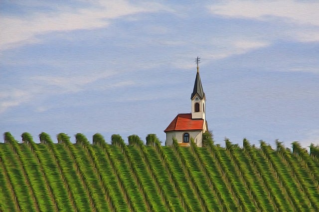 Free chapel vineyard nature illustration