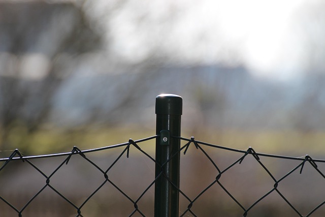 Free Wire Mesh Fence Wire Mesh photo and picture
