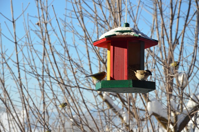 Vogelfütterung, Futterhäuschen