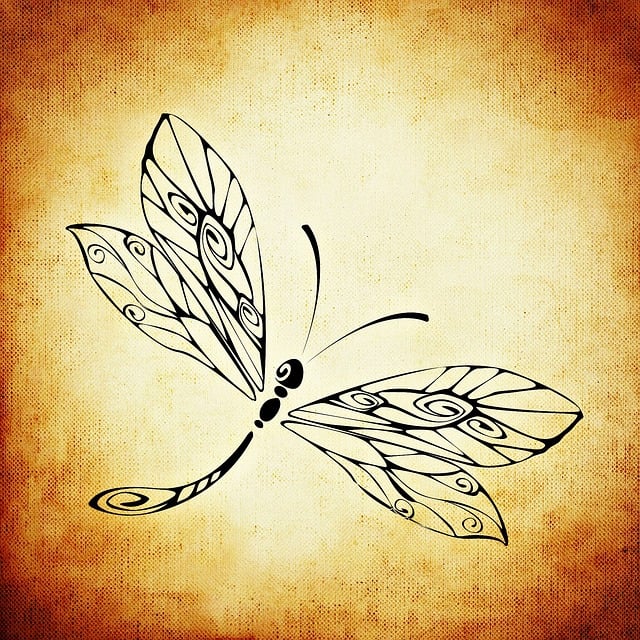 Free dragon-fly insect wing illustration