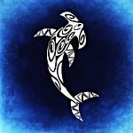 hammerhead shark, fish, dangerous
