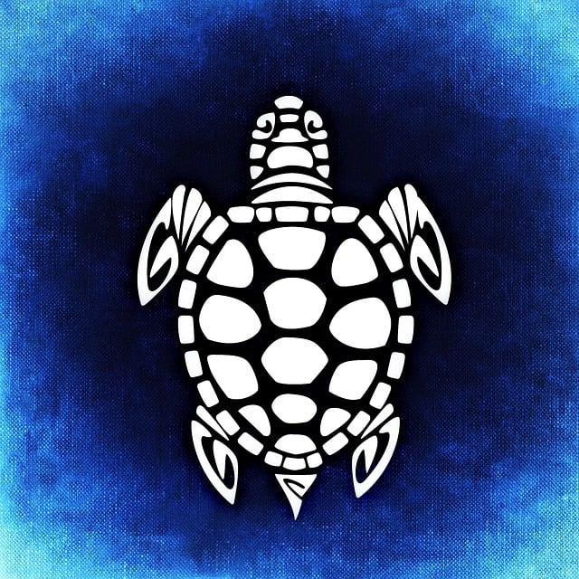 Free tortoise tank animal illustration
