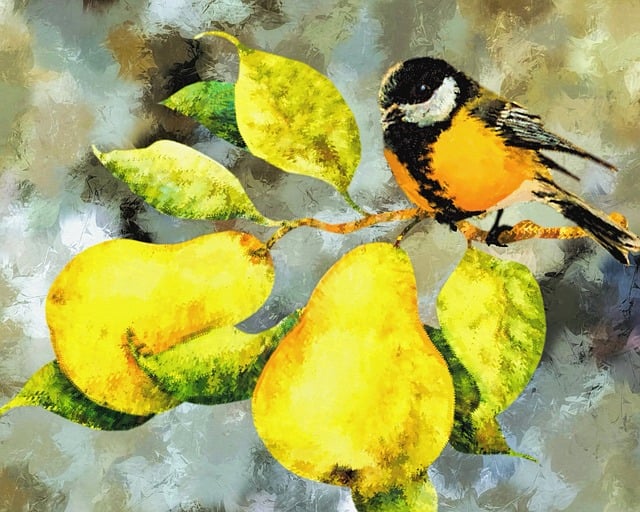 Free backdrop nature colorful illustration