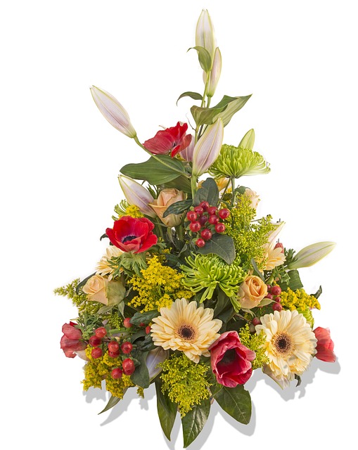 Free Flower Nature photo and picture