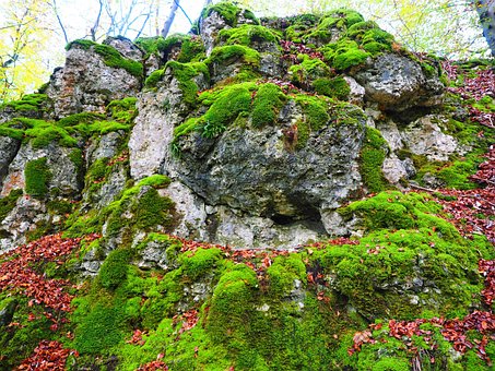 stone-767504__340.jpg