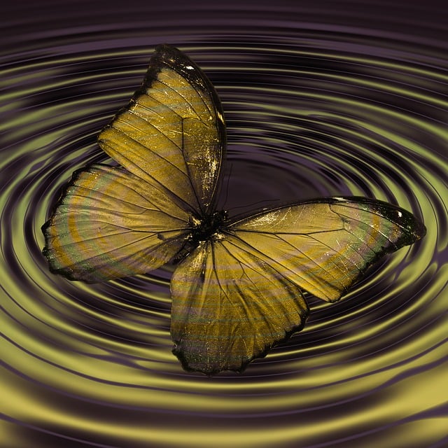 Free butterfly insect waves illustration