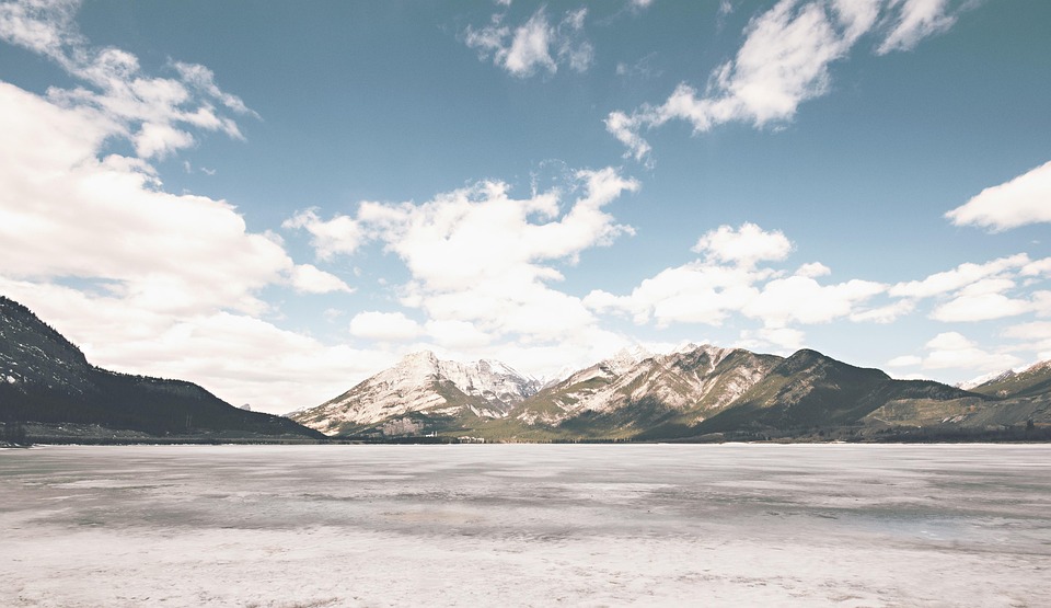 nature-768621_960_720.jpg