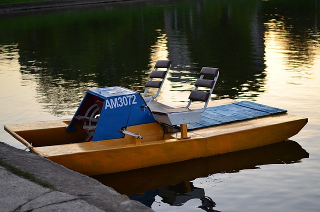 Rio, Praia, Marina, Ave Aquática, Barco