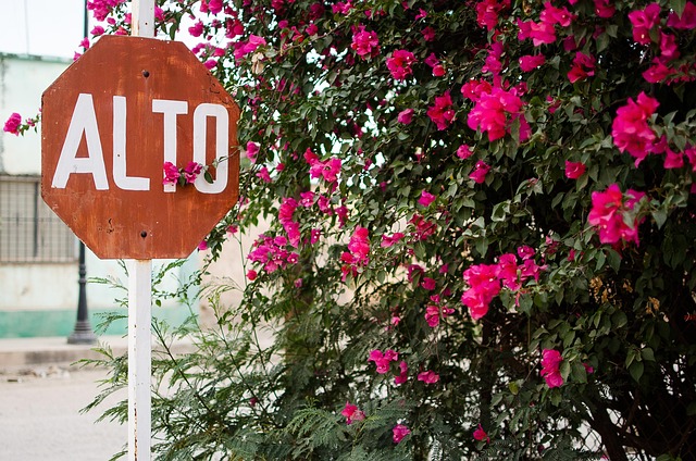 Free Tall Signs photo and picture