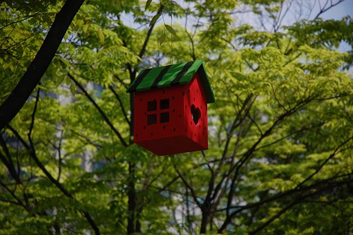 A red and green bird cage hanging in a tree so signigy niche