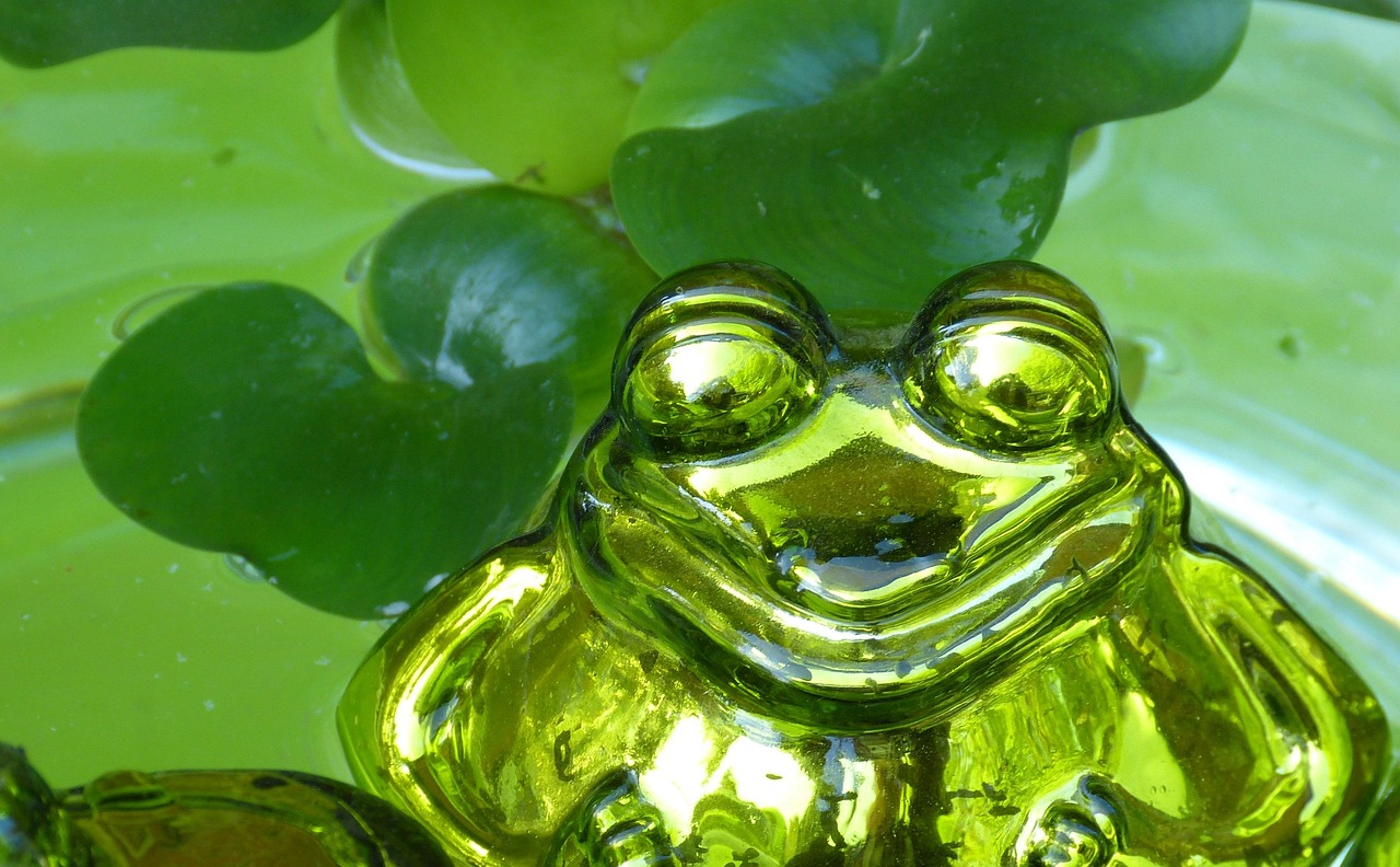 Frog - free online jigsaw puzzle photo