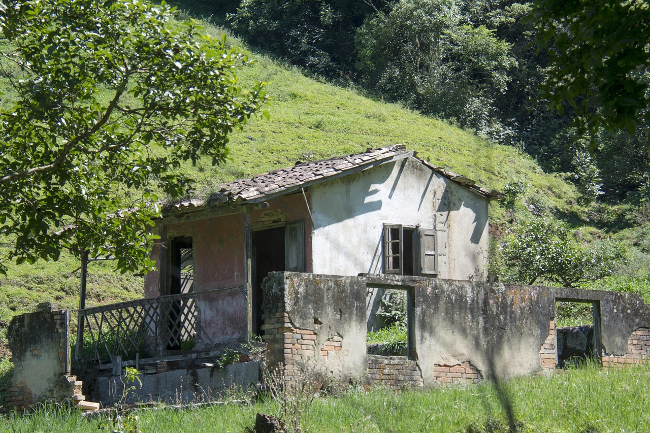 Field - free online jigsaw puzzle photo