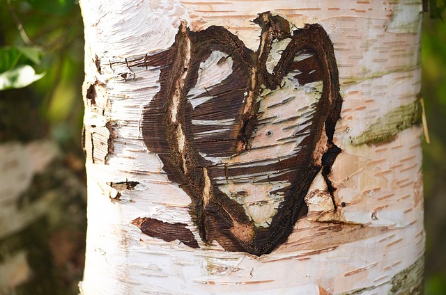 Free Love Heart photo and picture