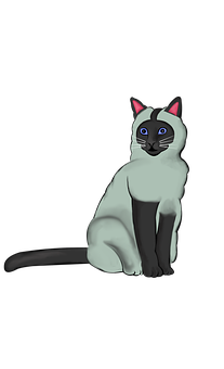 Siamese 画像 無料画像をダウンロード Pixabay